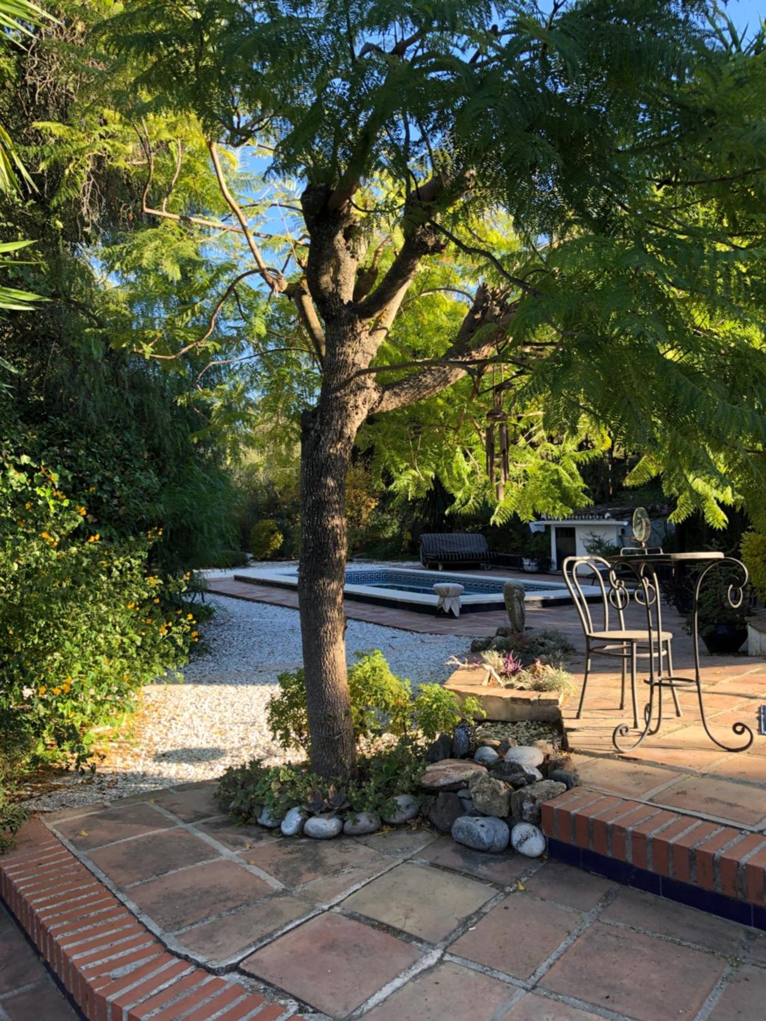 Finca El Rio,, La Casita One Of 2 Self Catering Studios. Pool And Hydrotherapy Jacuzzi Málaga Dış mekan fotoğraf